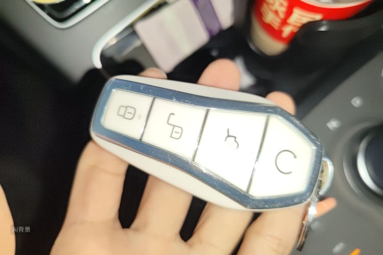 BYD Destroyer 05 2024 car image #10