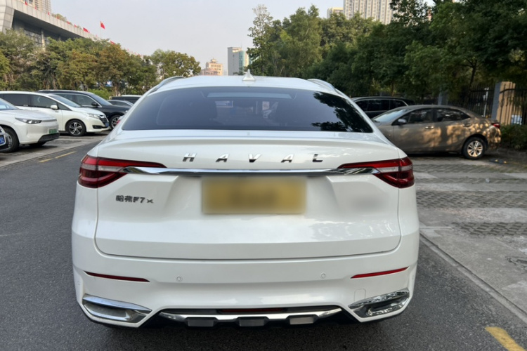 Haval F7x 2020 #10 Haval F7x 2020 immagine di auto #10
