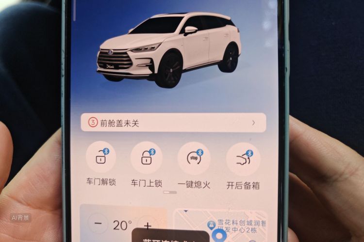 BYD Tang New Energy 2020 car image #10