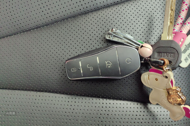 BYD Sea Lion 05 EV 2025 car image #10