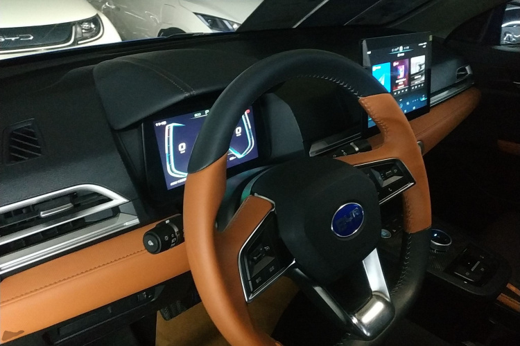 BYD e2 2020 #10 BYD e2 2020 immagine di auto #10