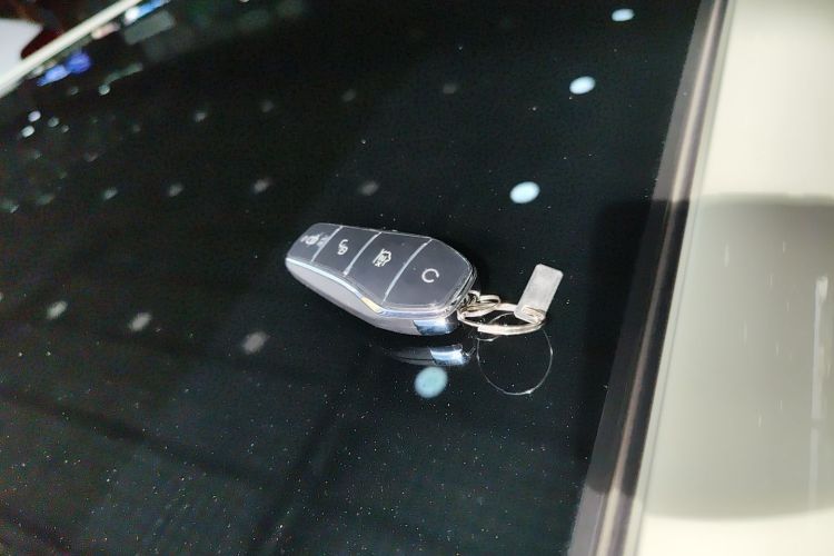 BYD Dolphin 2023 car image #10