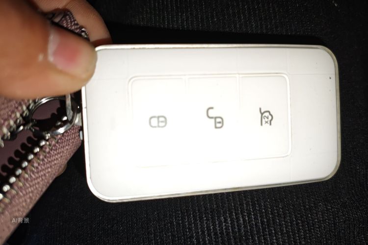 BYD Tang New Energy 2018 car image #10