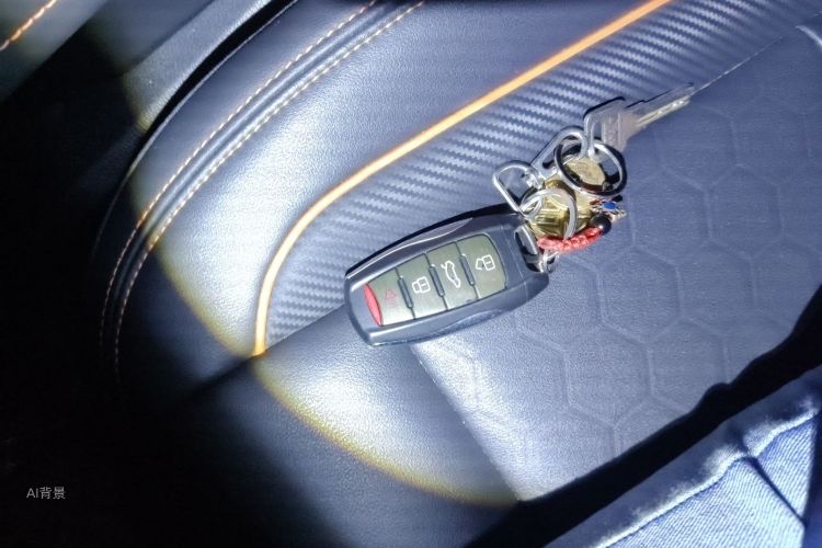 Haval F7 2020 car image #10