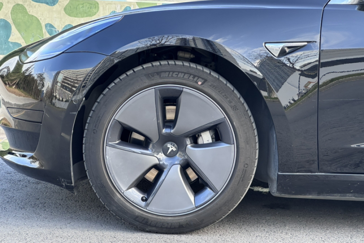 Tesla Model 3 2020 car image #10