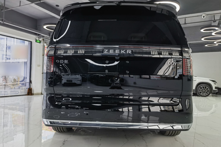 极氪 极氪009 汽车图片 #10