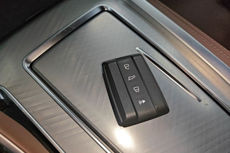 Tank 700 New Energy 2024 #10 Tank 700 New Energy 2024 immagine di auto #10