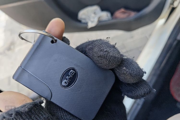 BYD F0 2015 car image #10