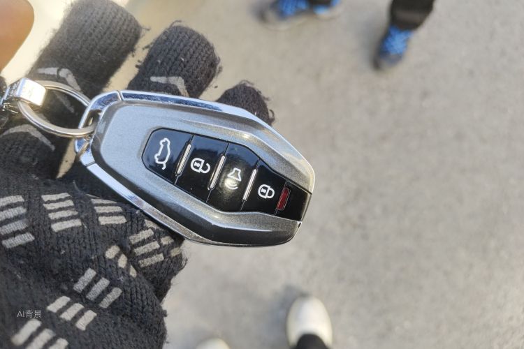 捷途山海 捷途X95 2020 汽车图片 #10