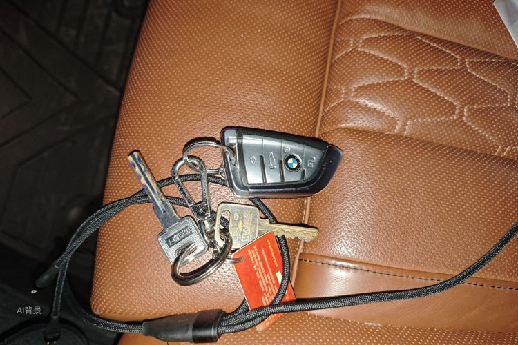 BMW X7 2020 imagen de coche #10