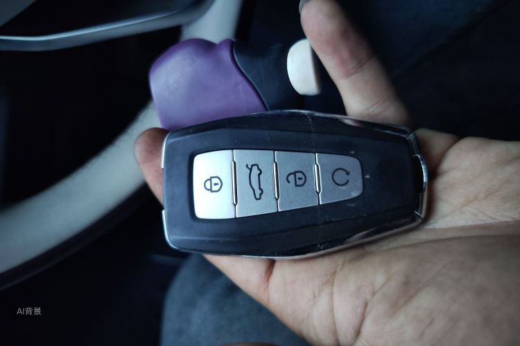GEELY Monjaro 2023 car image #10