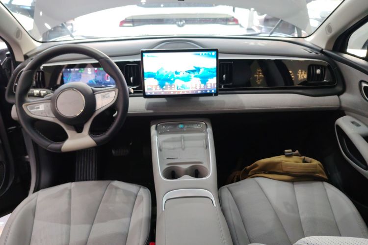 BYD Sea Lion 05 EV 2025 car image #10