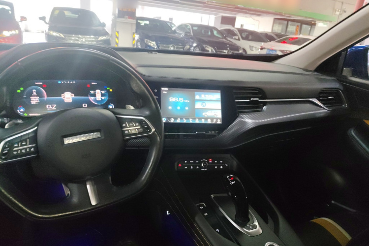 Haval F7x 2020 #10 Haval F7x 2020 car image #10