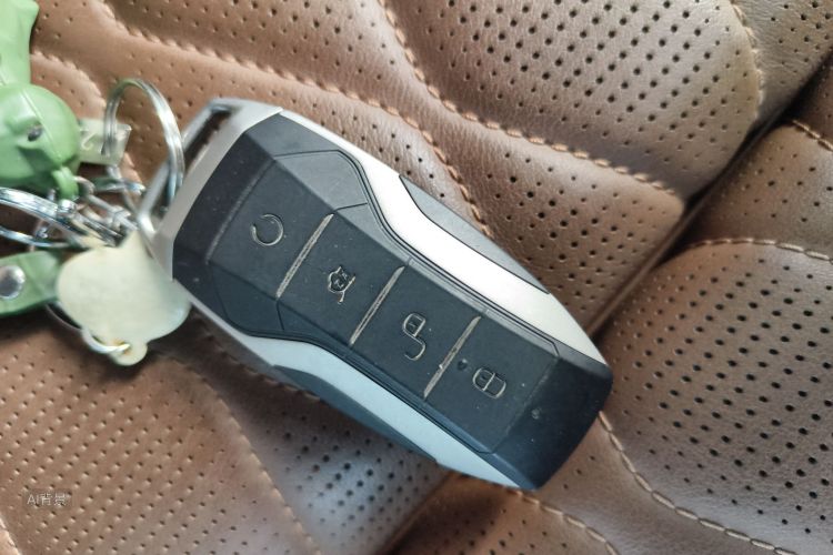 BYD Tang New Energy 2021 car image #10