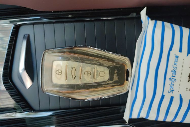 GEELY Monjaro 2022 immagine di auto #10