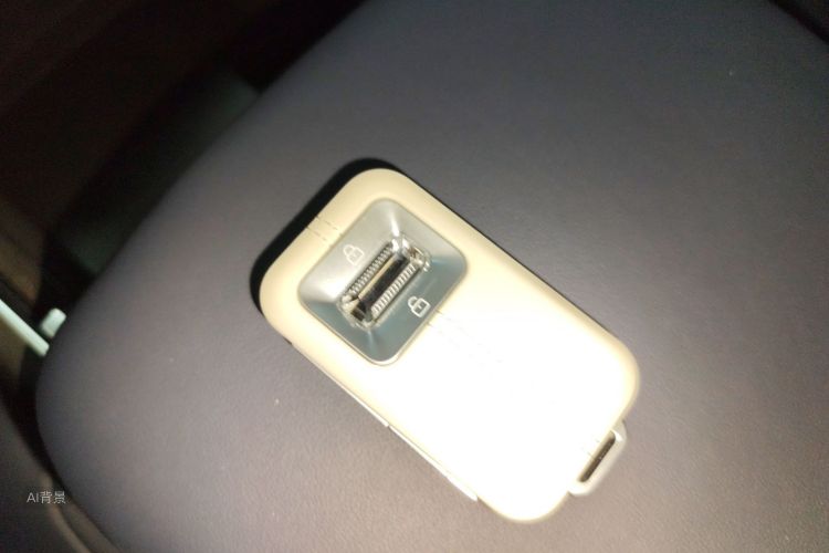 极氪 极氪9X 2025 汽车图片 #10