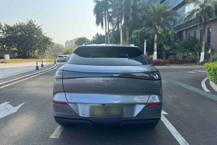 BYD Sea Lion 06 New Energy 2025 car image #10