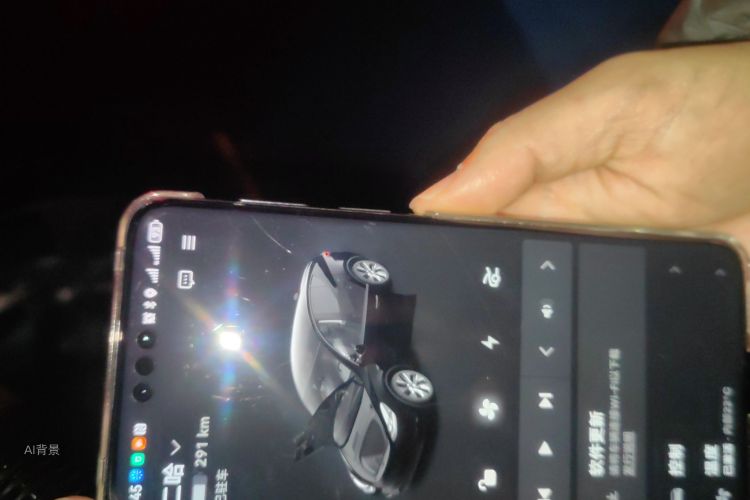 Tesla Model Y 2022 car image #10