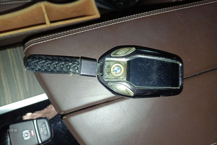 BMW 5 Series New Energy 2020 car image #10