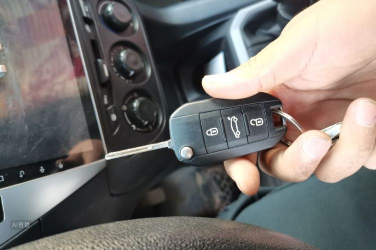 Citroen C-Elysée 2017 car image #10