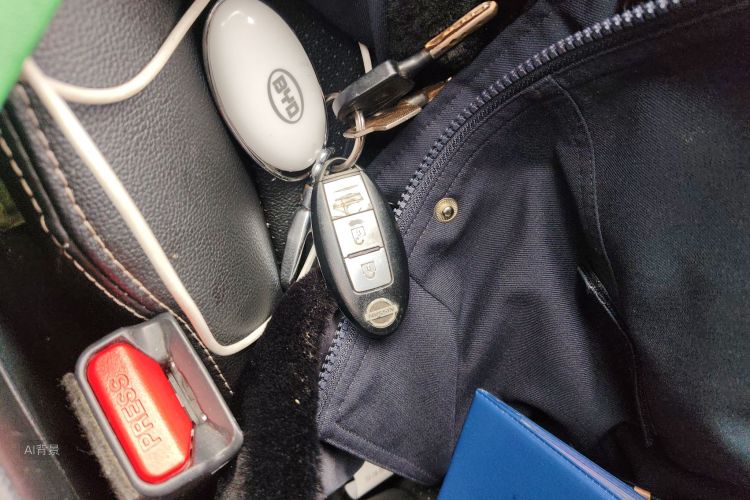 日产 骐达TIIDA 2020 汽车图片 #10