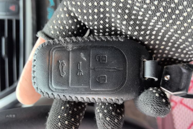 Soueast V5 Lingzhi 2017 car image #10