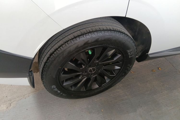 T5 EVO 2023 car image #10