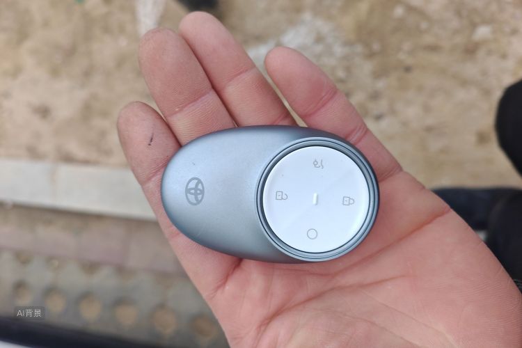 Toyota Bozhi 3X 2025 car image #10