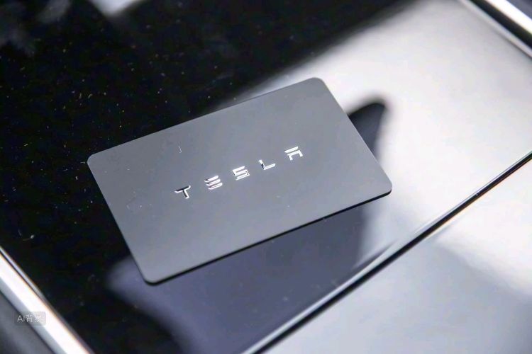 Tesla Model Y 2022 car image #10