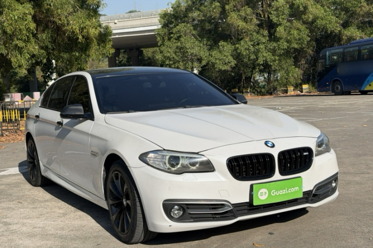 BMW 5 Series 2014 car image #10