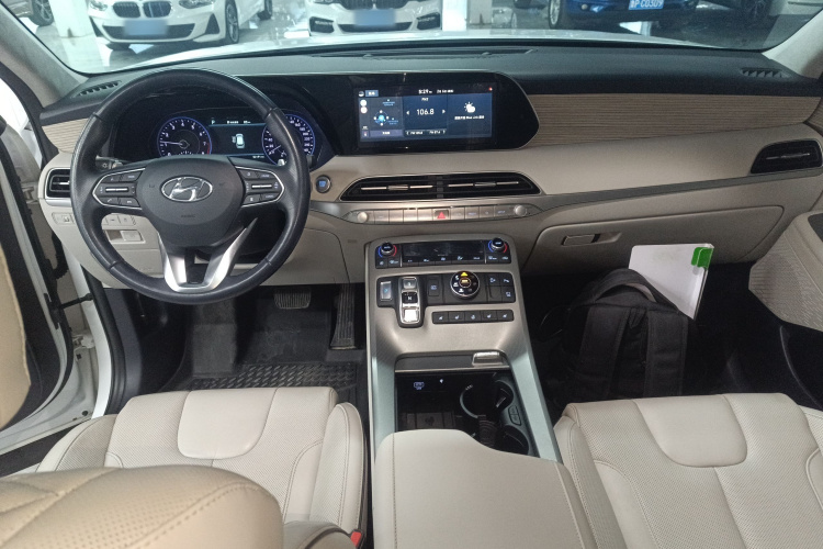 Hyundai Palisade 2020 #10 Hyundai Palisade 2020 car image #10