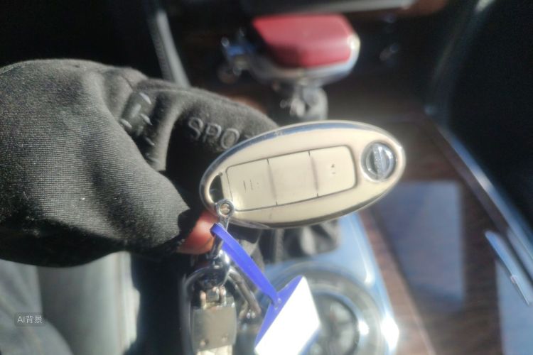 日产 途乐 2018 汽车图片 #10