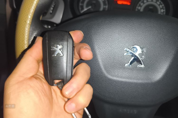 标致 标致301 2014 汽车图片 #10