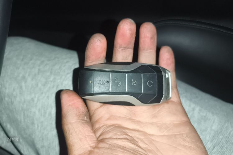 BYD Song Pro New Energy 2019 #10 BYD Song Pro New Energy 2019 car image #10