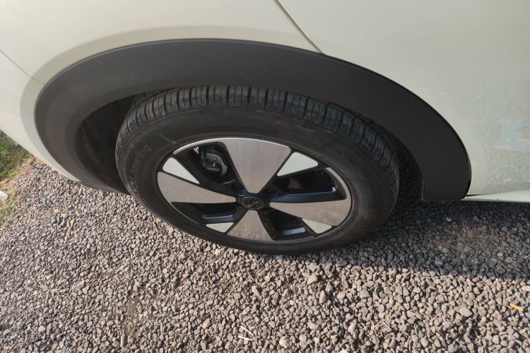 BYD Dolphin 2024 #10 BYD Dolphin 2024 car image #10