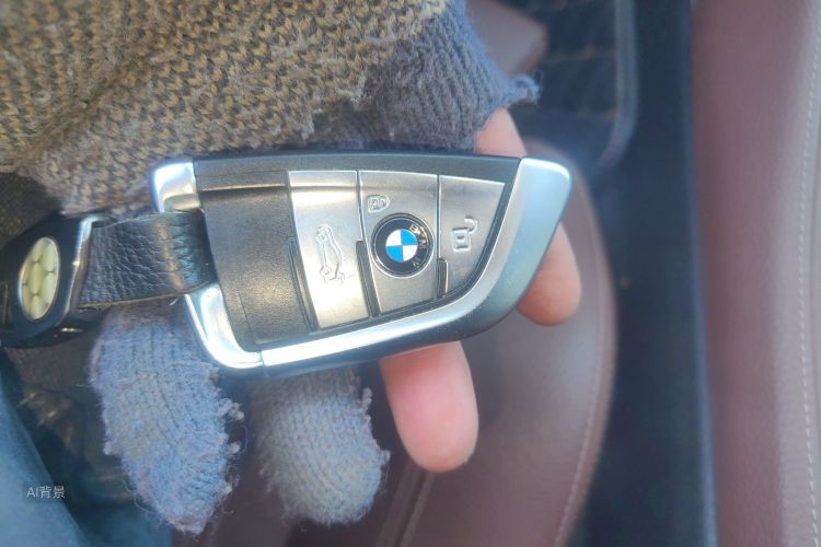 宝马 宝马X6 2017 汽车图片 #10