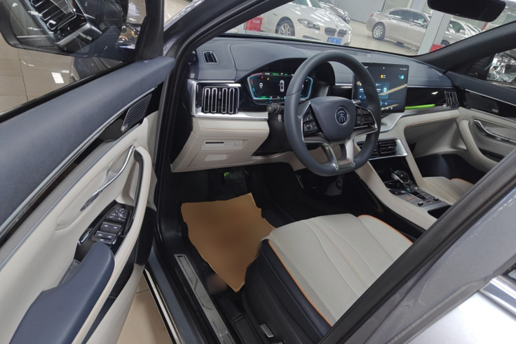 BYD Song Plus New Energy 2021 car image #10