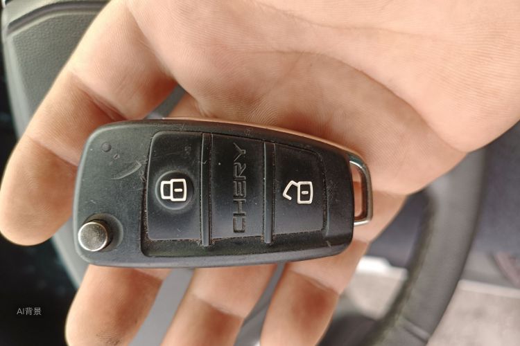 Chery Tiggo 3 2017 car image #10