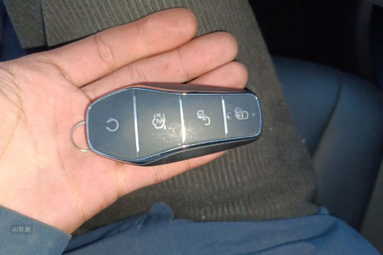 BYD Sea Lion 06 New Energy 2025 car image #10