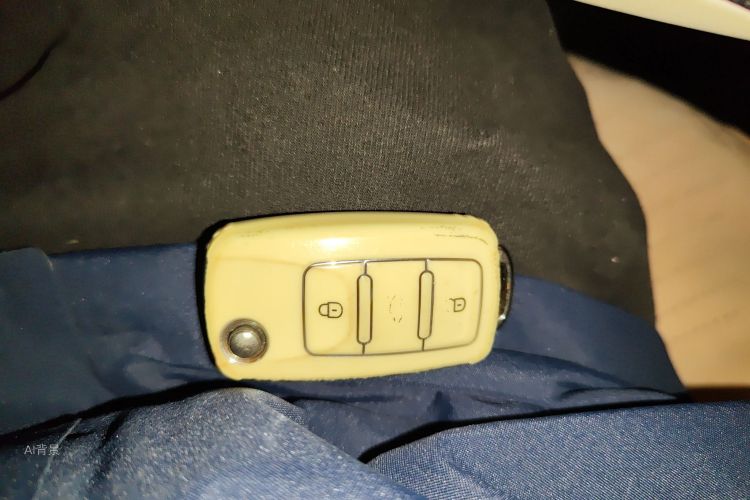 Volkswagen Bora 2021 immagine di auto #10