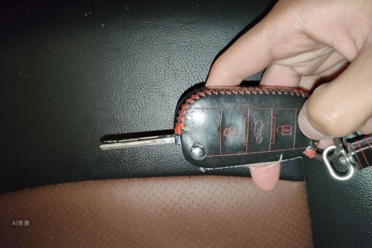 Citroen C3-XR 2016 car image #10