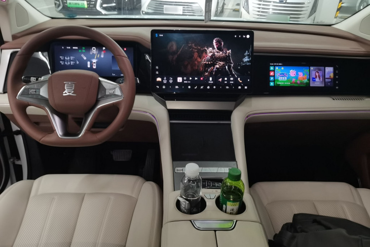 BYD Xia 2024 imagen de coche #10