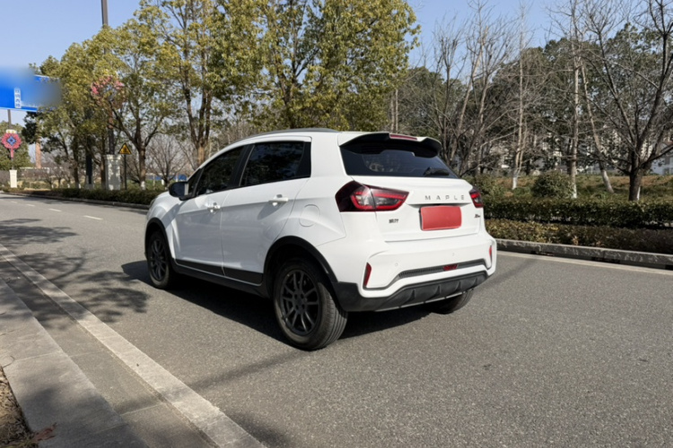 X3 PRO 2023 #10 X3 PRO 2023 car image #10
