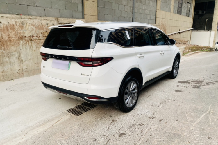 睿蓝汽车 枫叶80v PRO 2023 汽车图片 #10