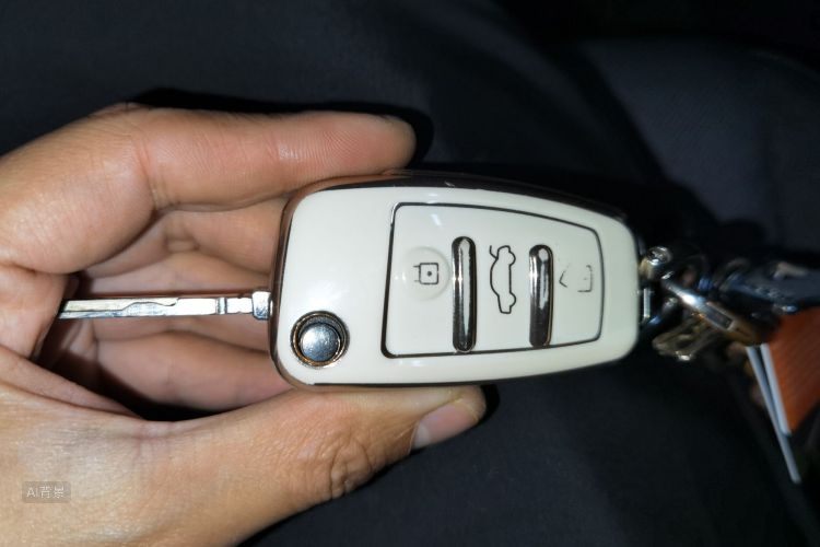 Q2L 2021 car image #10