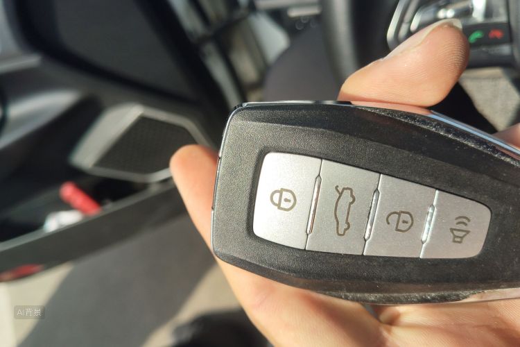 GEELY Emgrand GS 2020 imagem de carro #10