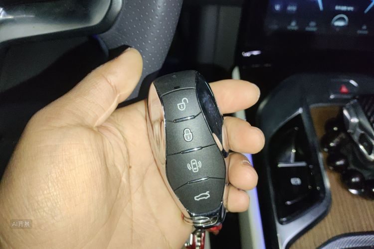 HongQi E-HS9 2022 car image #10