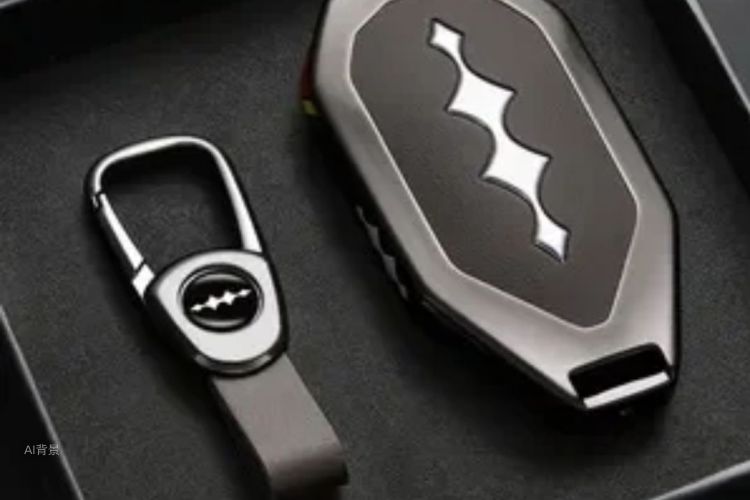 FangChengBao Leopard 5 2024 car image #10