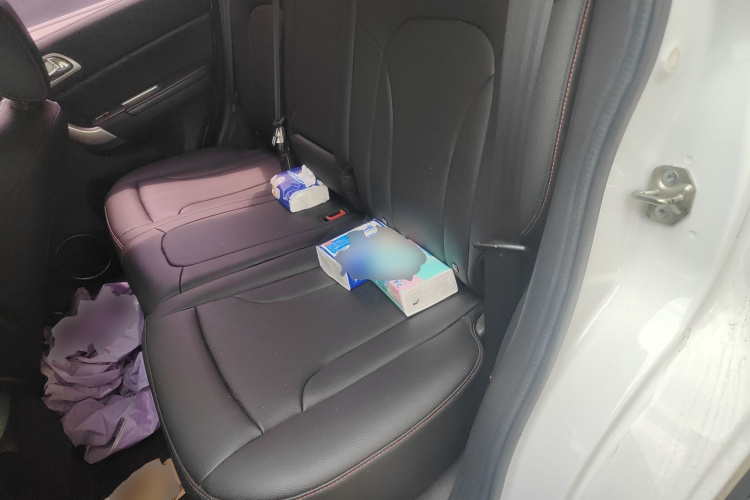 Haval H6 2017 car image #10