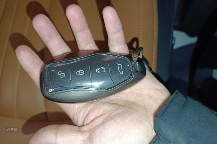 HongQi HQ9 PHEV 2024 #10 HongQi HQ9 PHEV 2024 car image #10